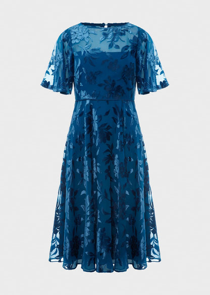 Peacock Blue