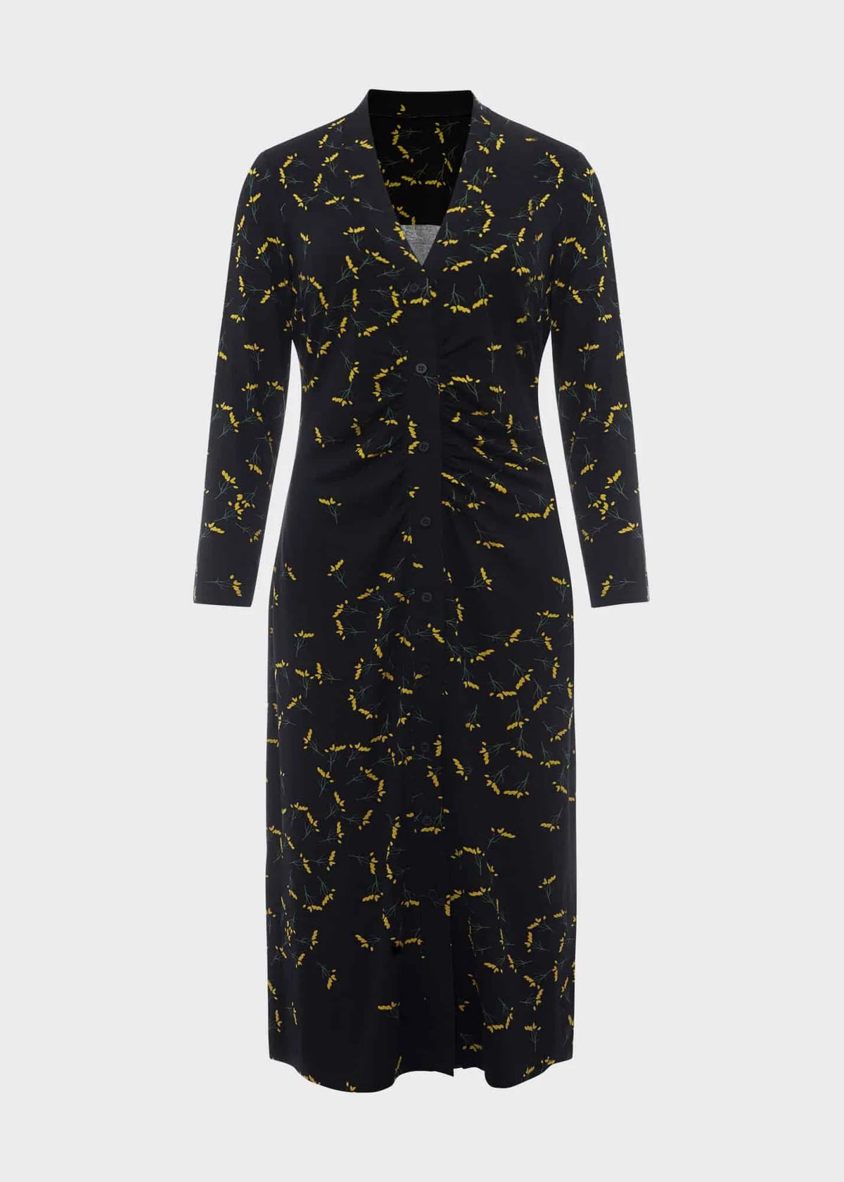 Navy Chartreuse