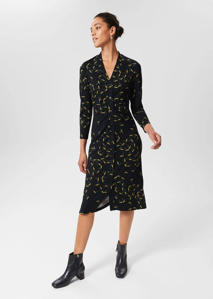 Navy Chartreuse