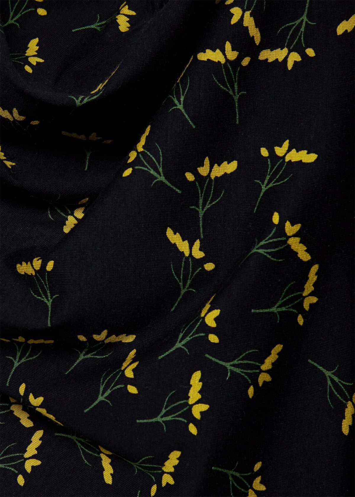 Navy Chartreuse
