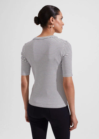 Ivory Navy