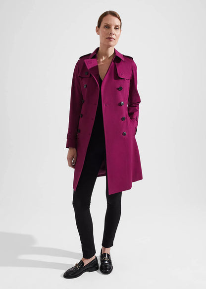 Warm Plum
