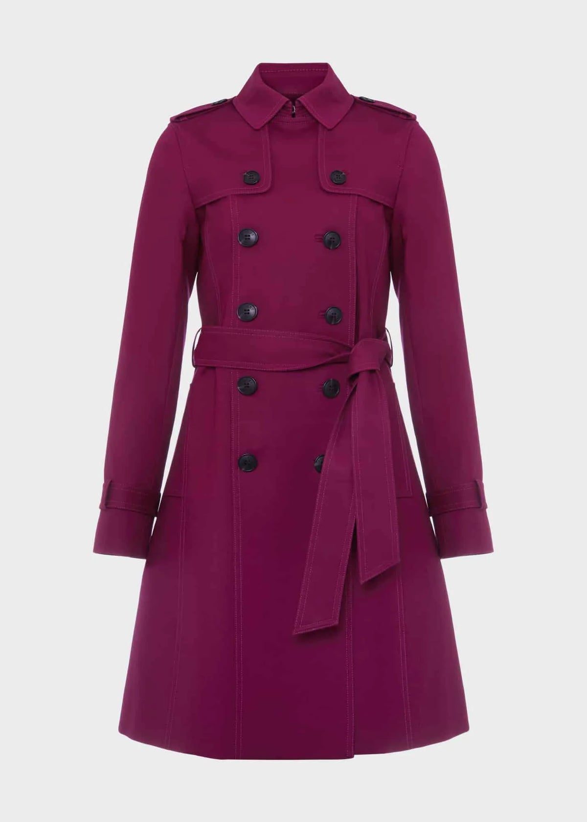 Warm Plum