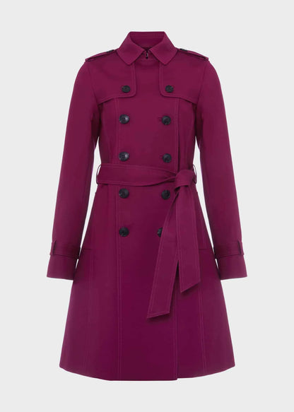 Warm Plum