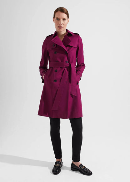 Warm Plum
