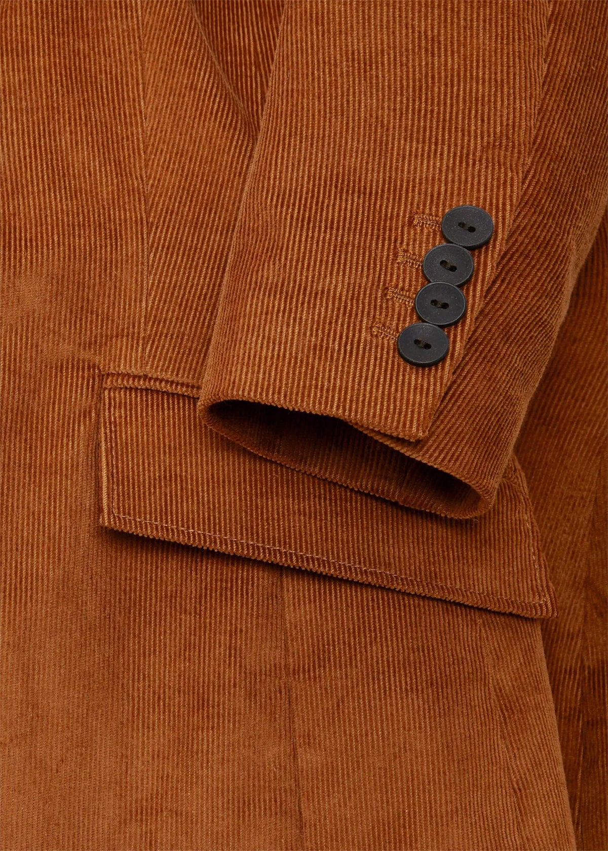 Vicuna