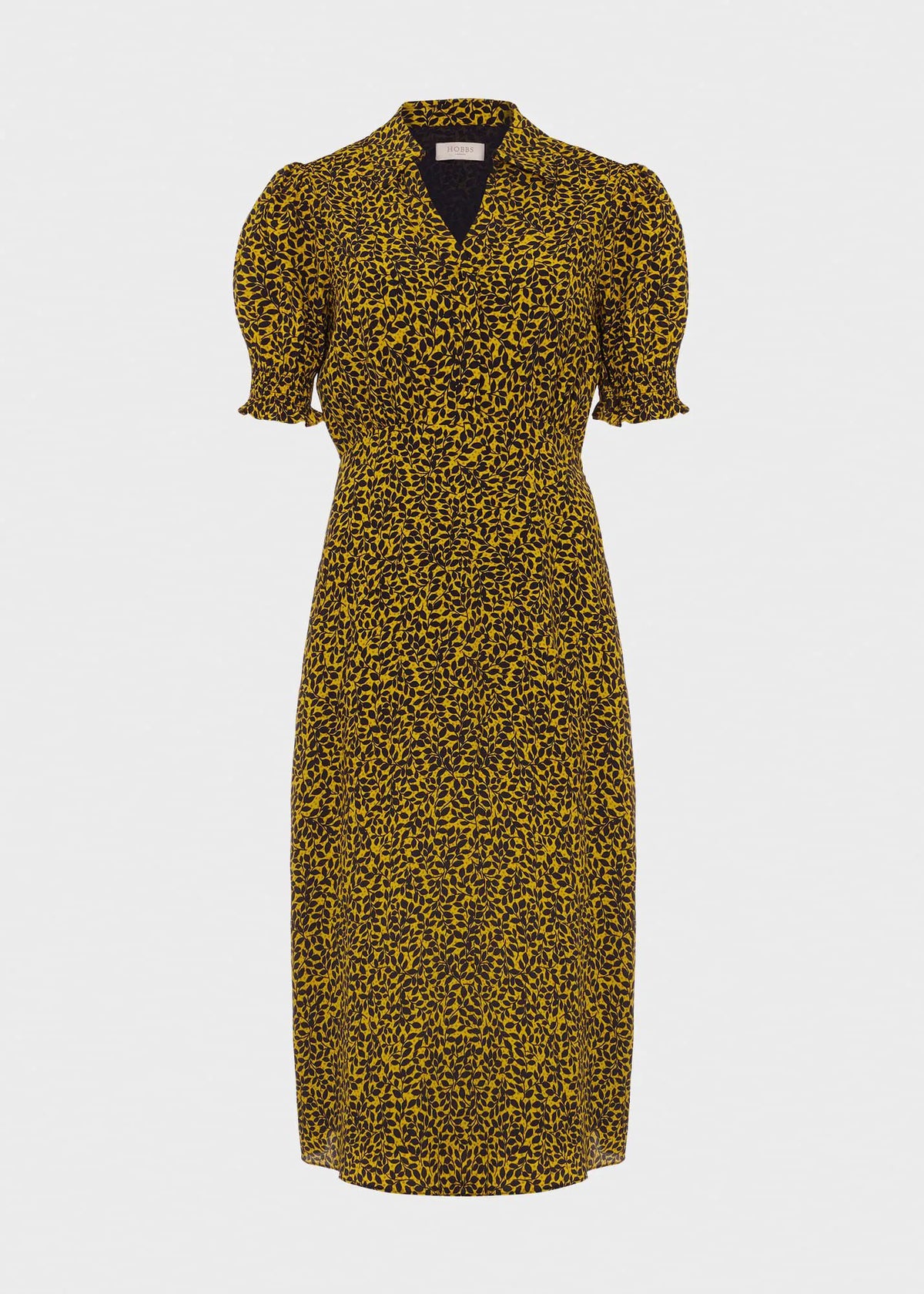 Chartreuse Navy