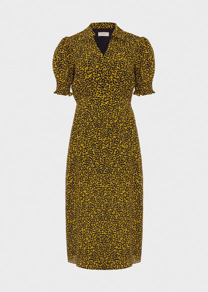 Chartreuse Navy