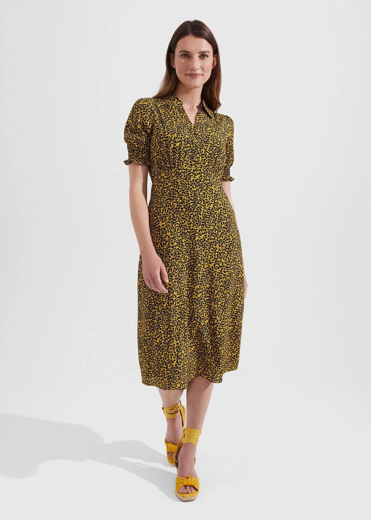Chartreuse Navy