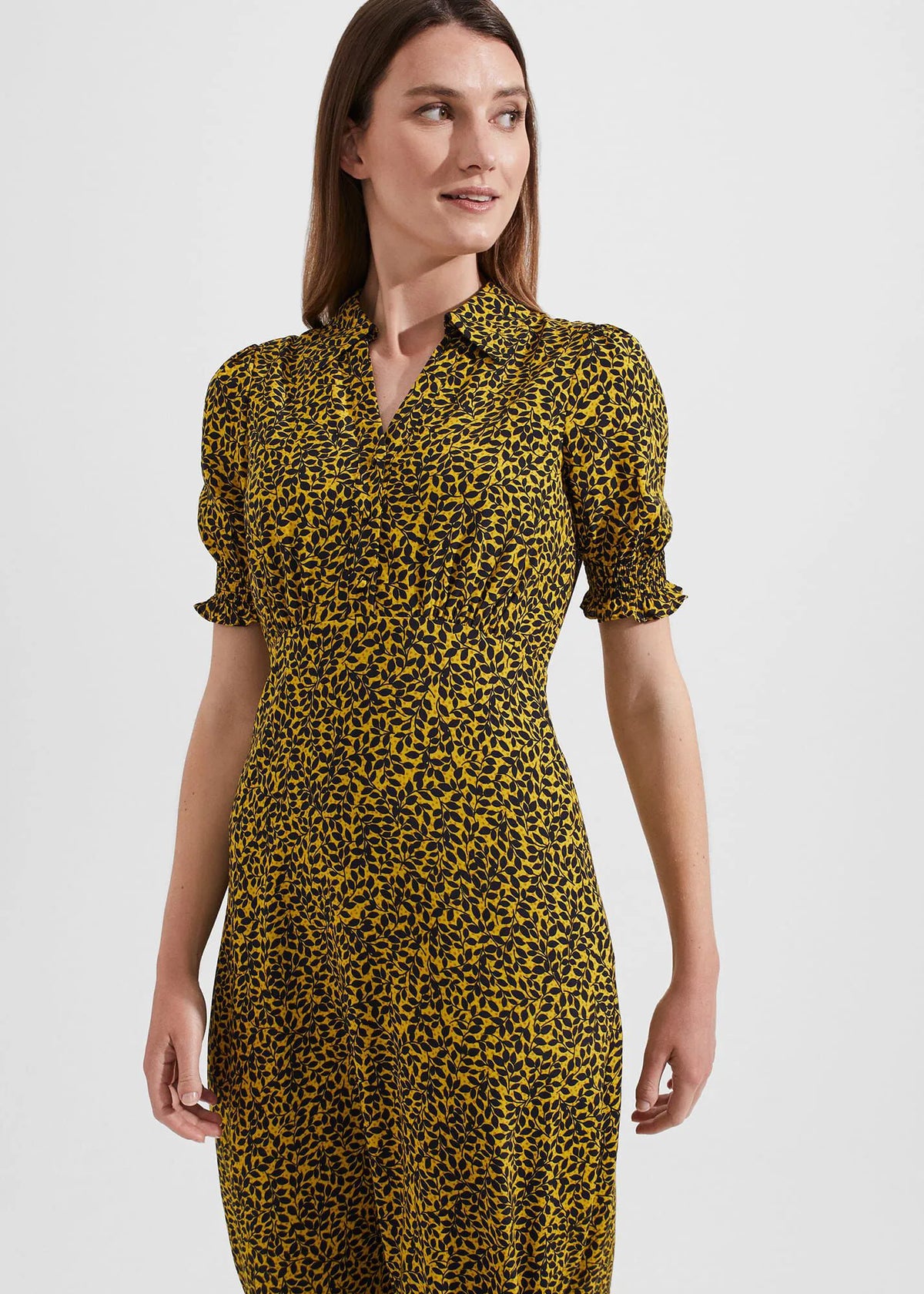 Chartreuse Navy