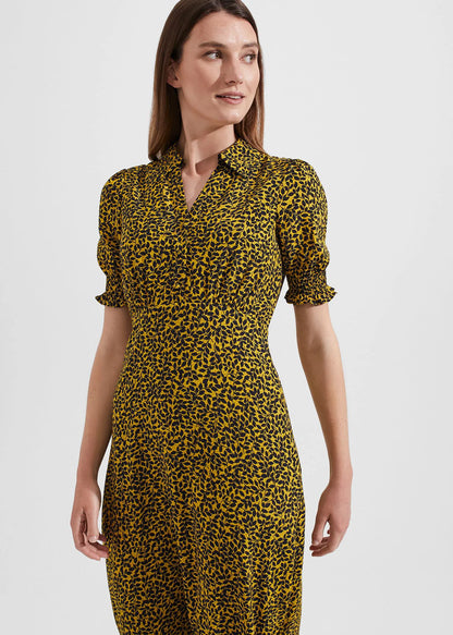 Chartreuse Navy