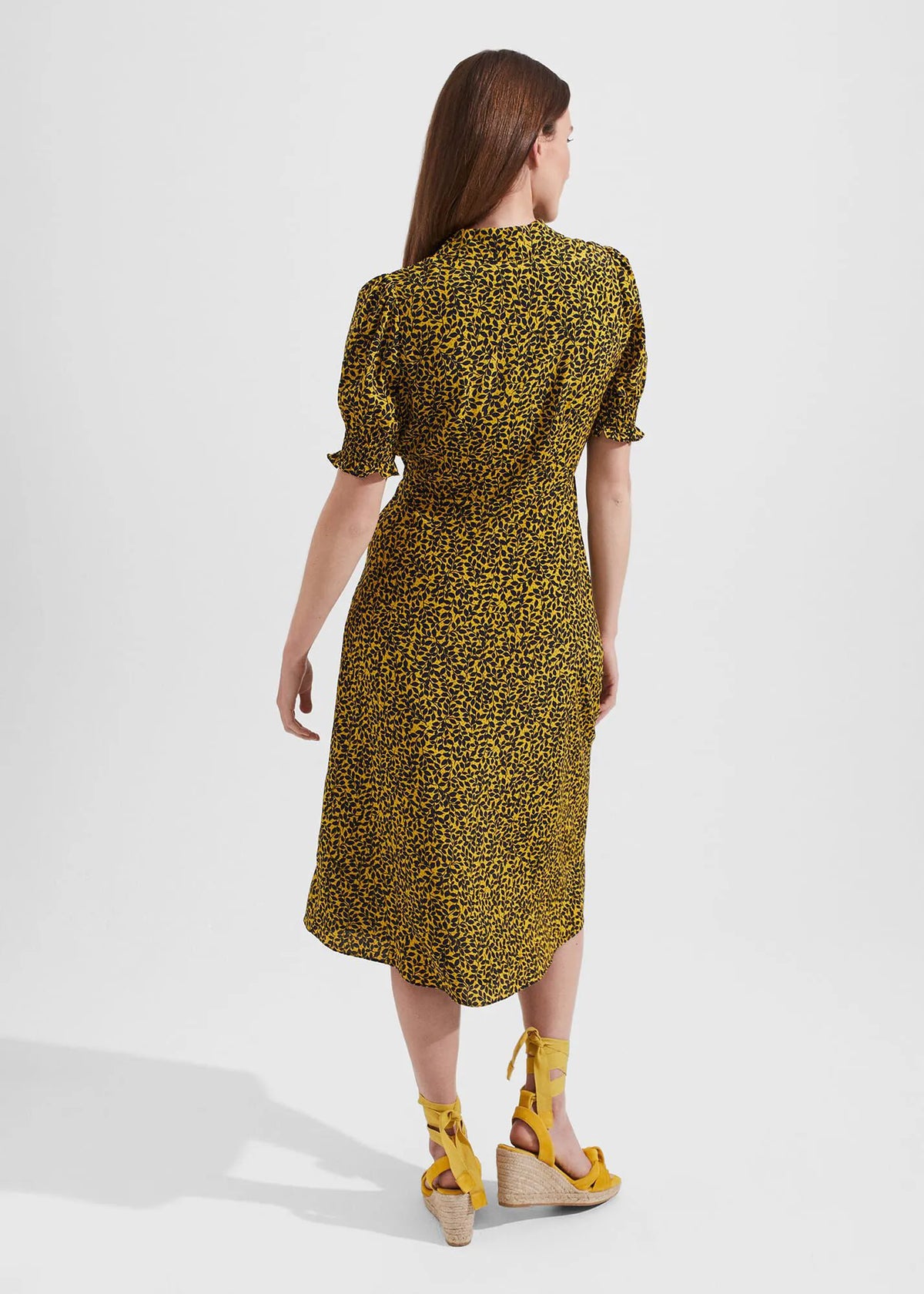 Chartreuse Navy