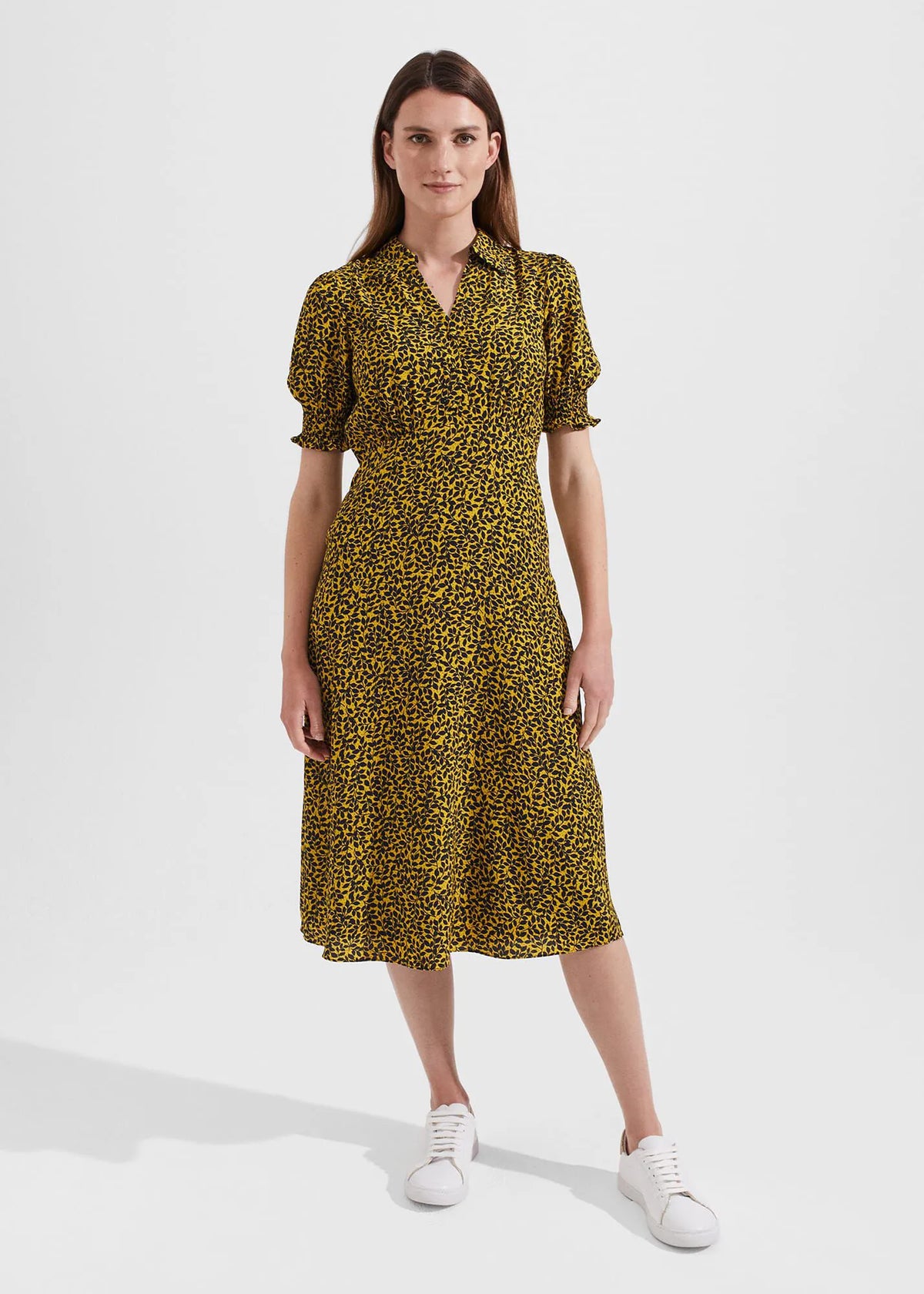 Chartreuse Navy
