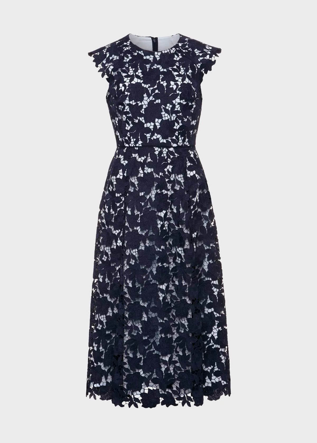 Pale Blue Navy
