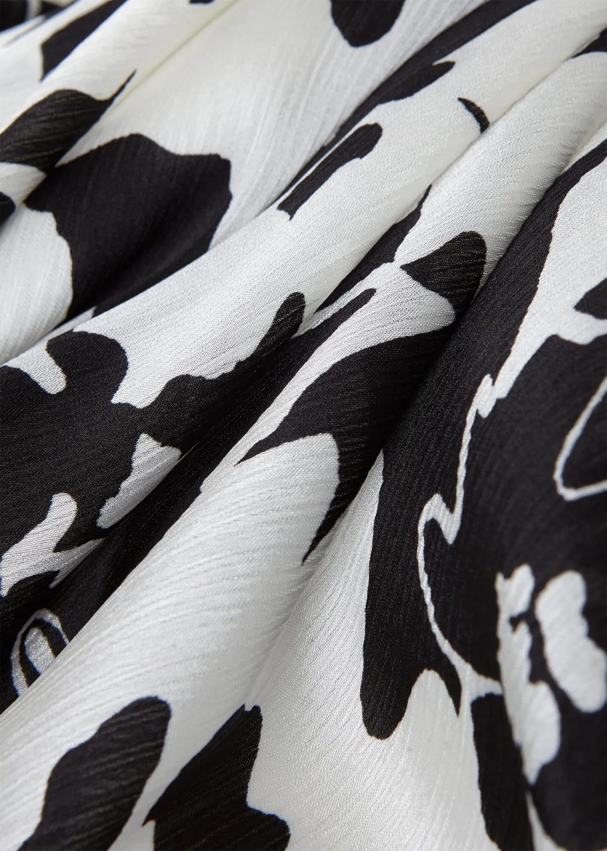 Black Ivory