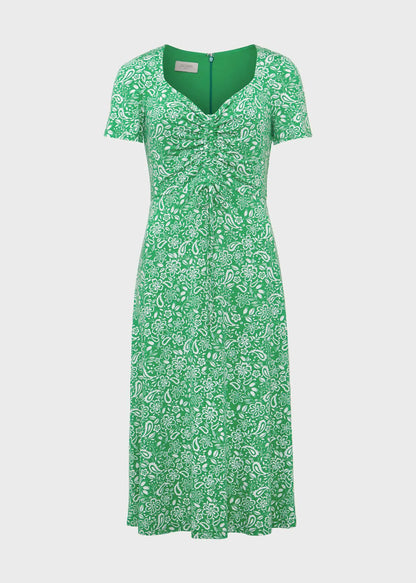 Green Multi