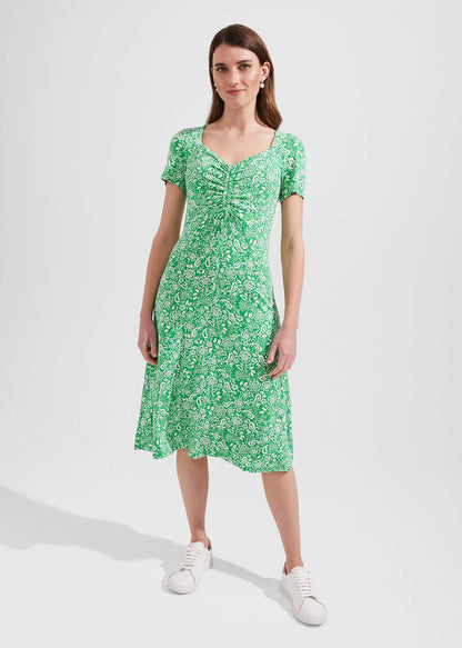 Green Multi