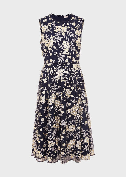 Navy Yellow