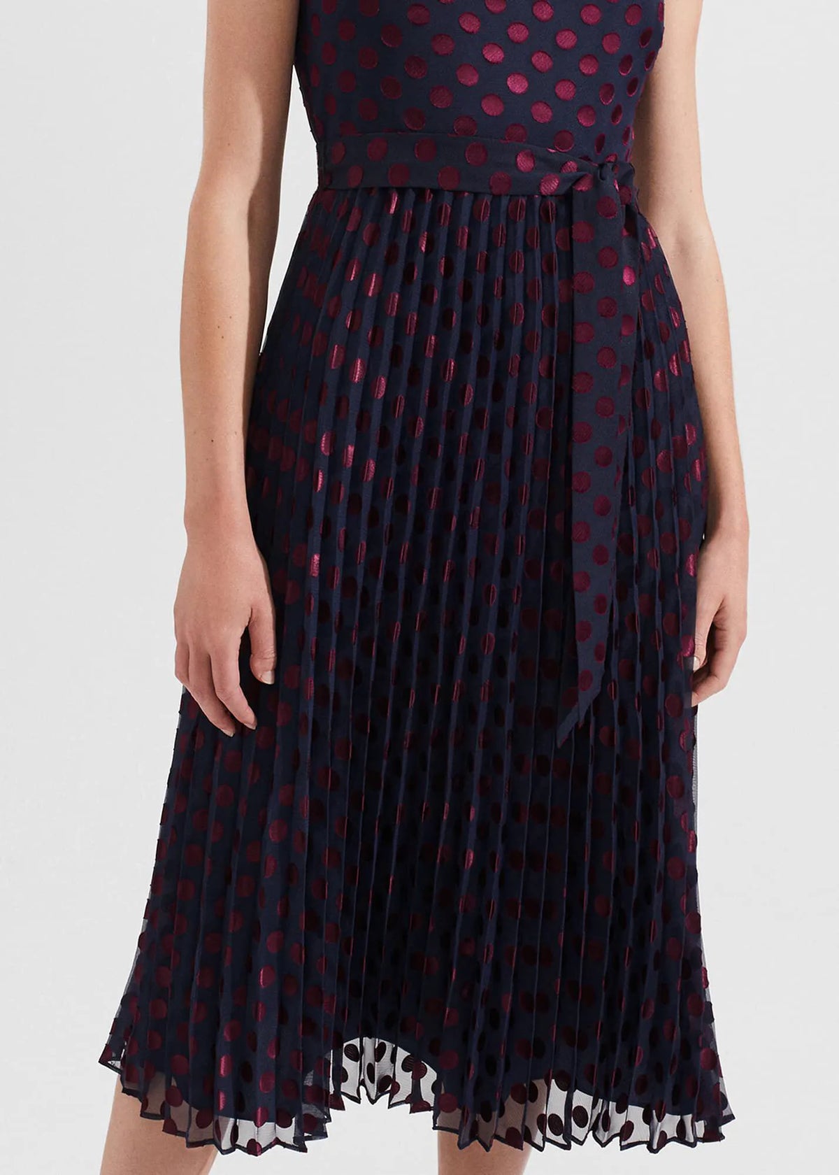 Navy Burgundy