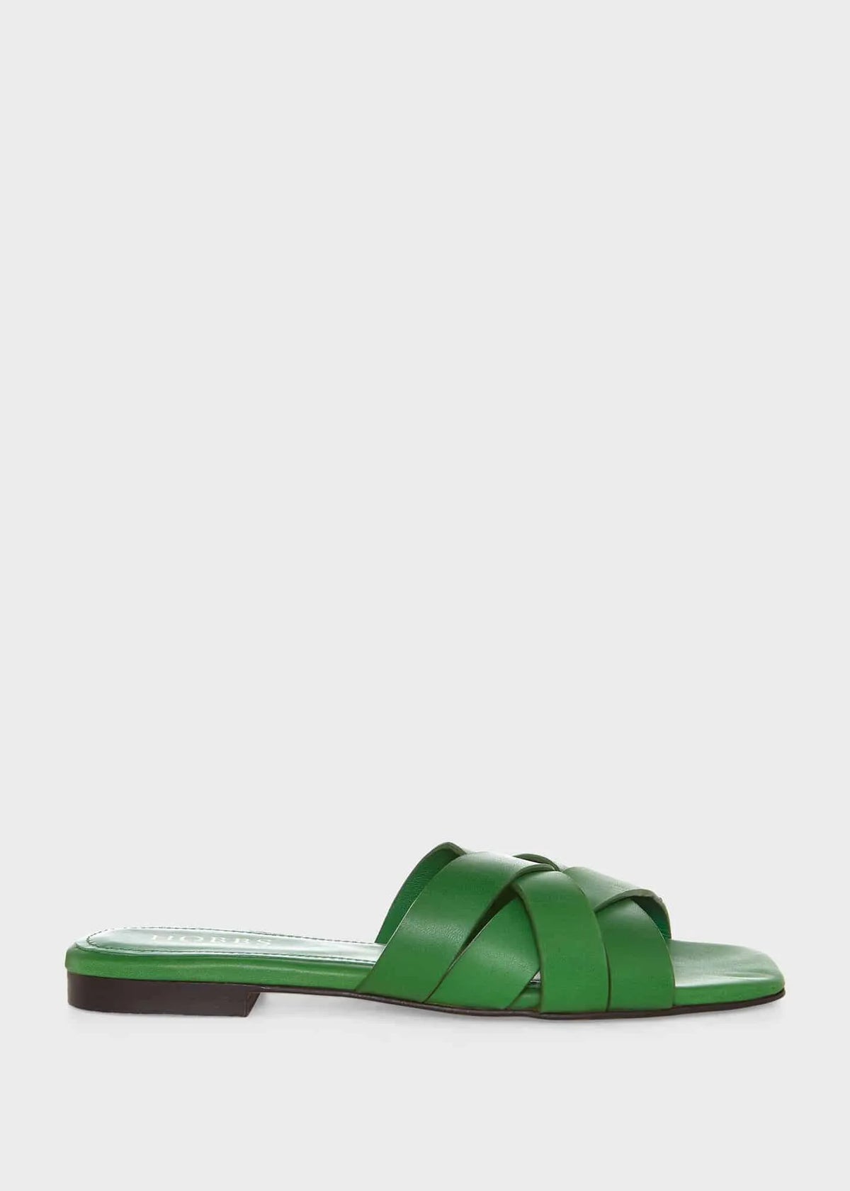 Fresh Green