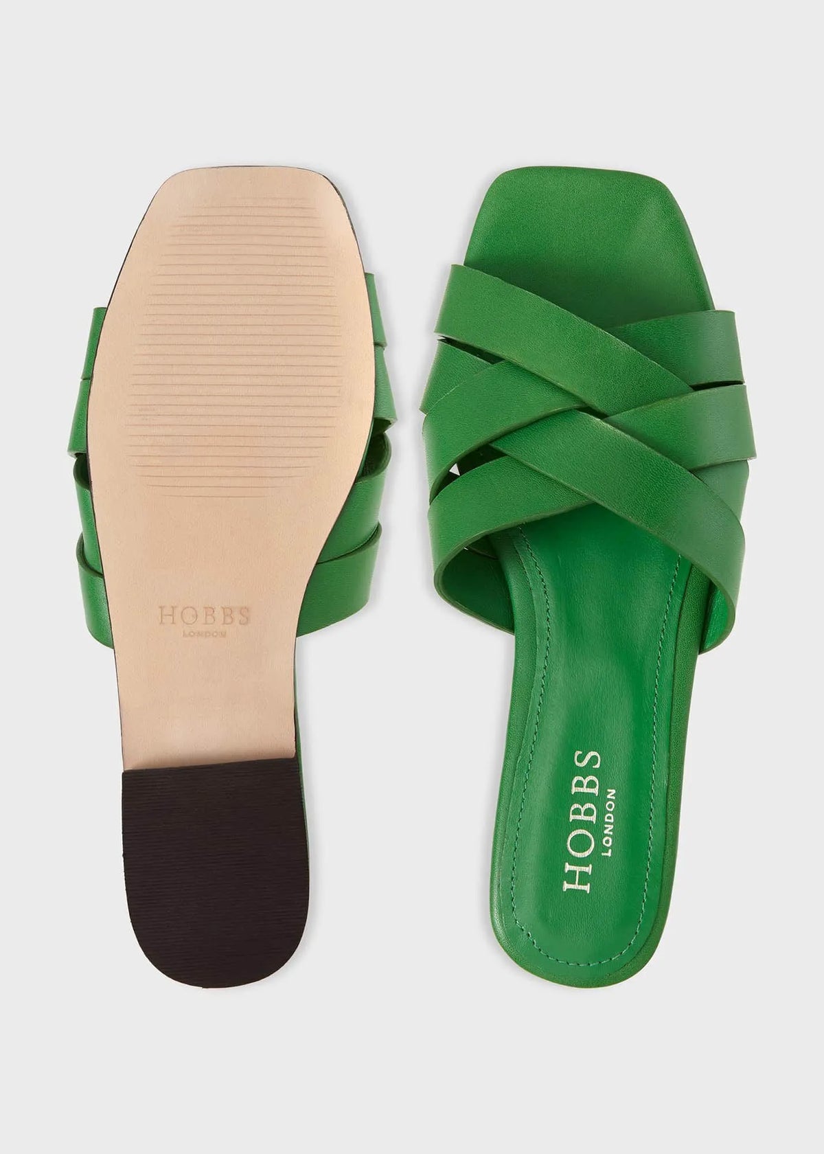 Fresh Green