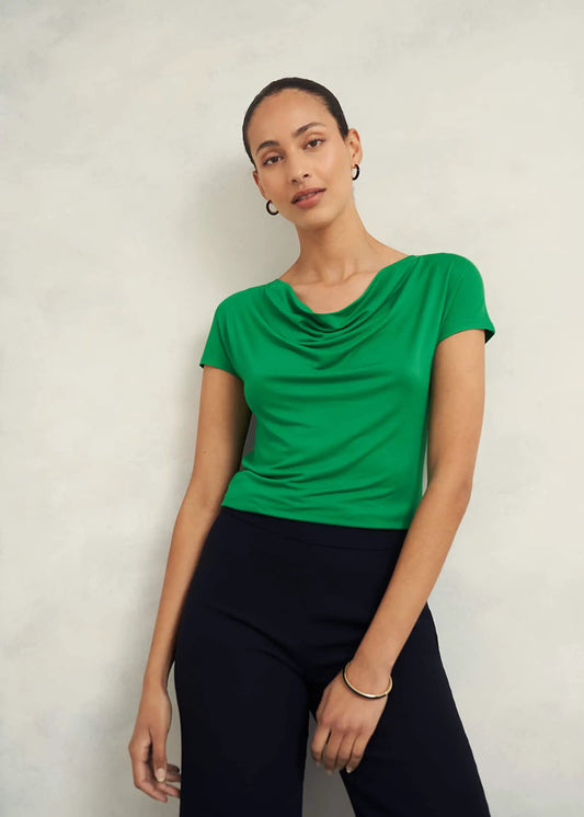 Cilantro Green