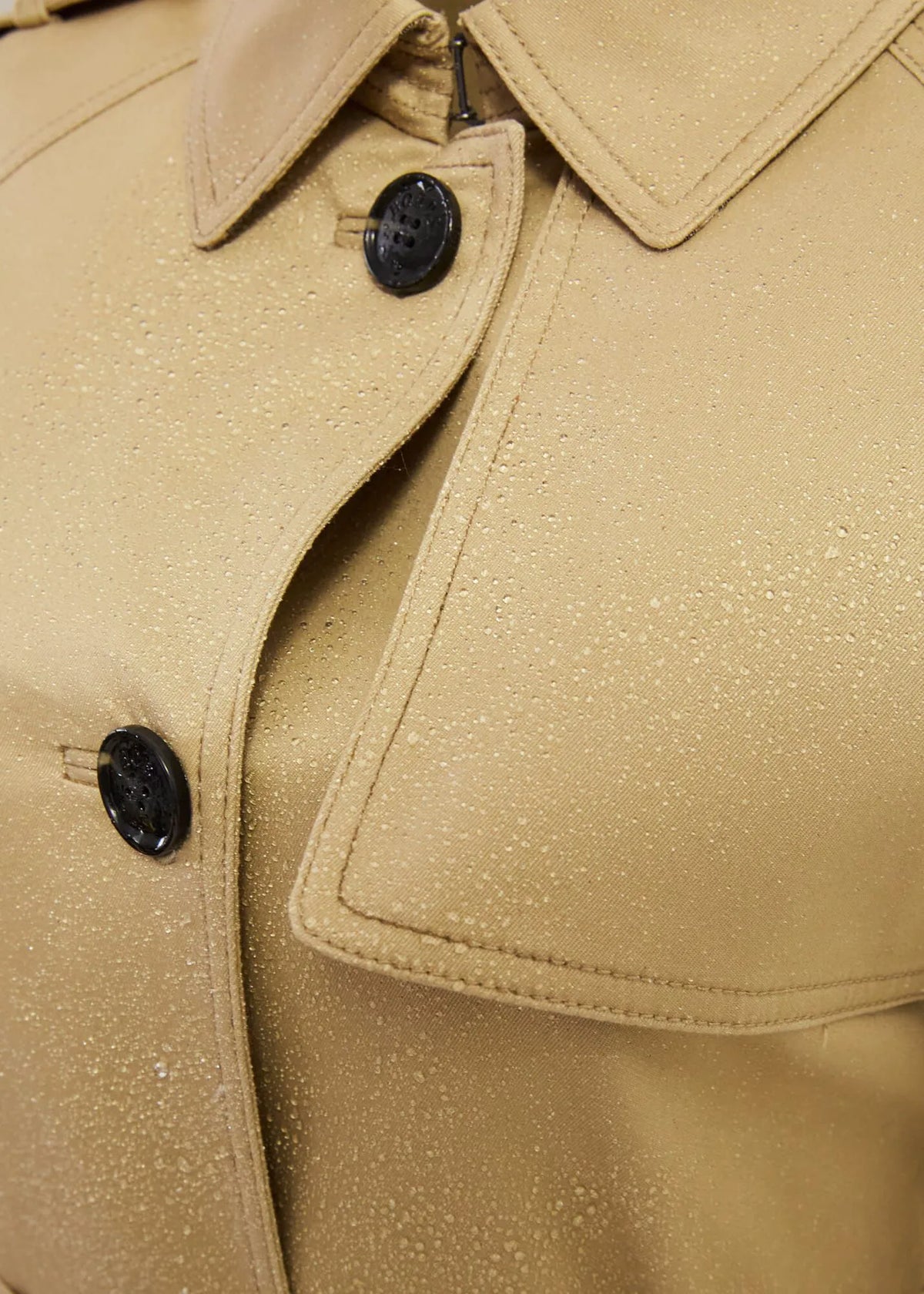 Fawn Beige