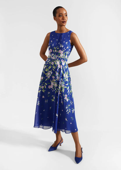Blue Multi