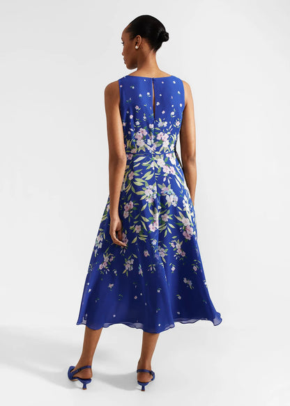 Blue Multi