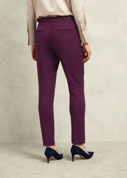 Warm Plum