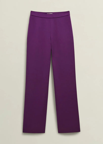 Vibrant Purple