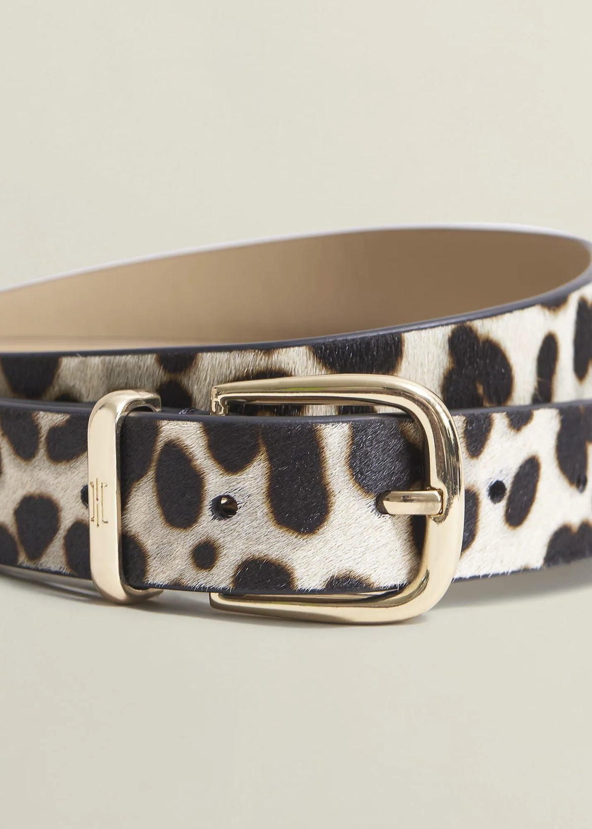 Snow Leopard