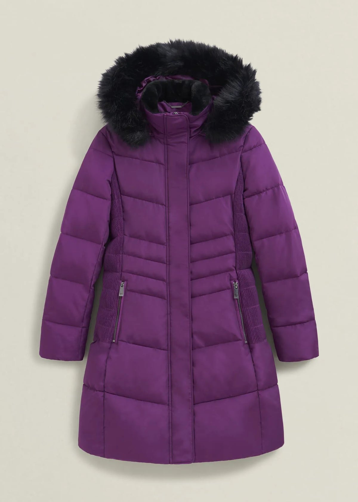 Vibrant Purple
