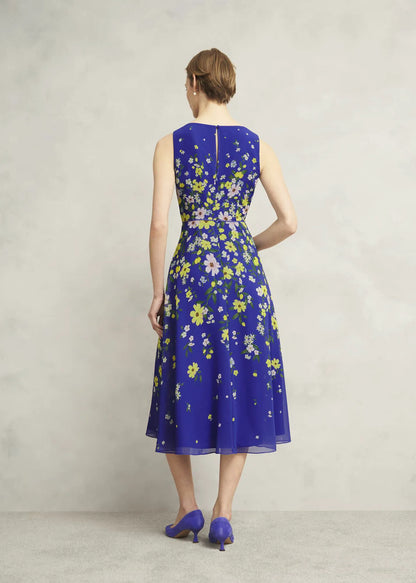 Blue Multi