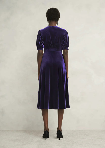 Midnight Purple