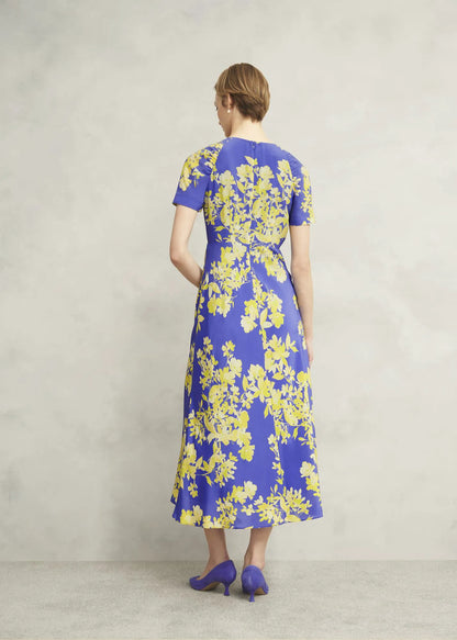 Blue Yellow