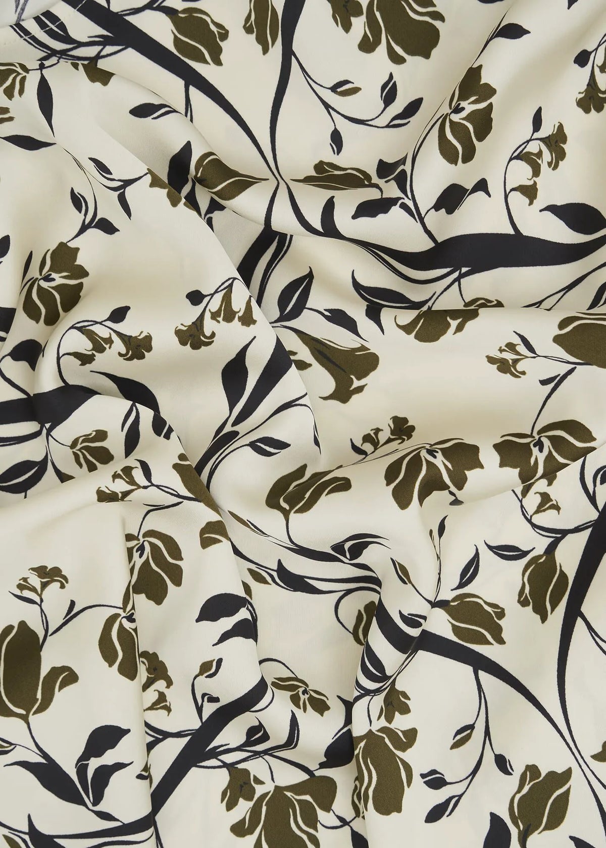 Ivory Olive