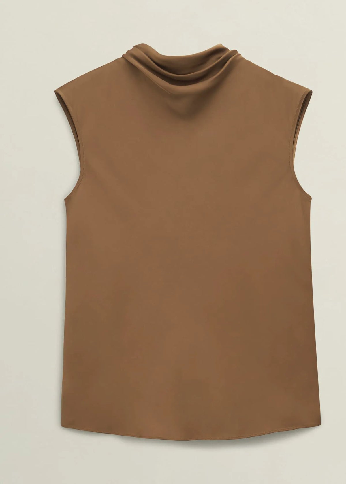 Vicuna