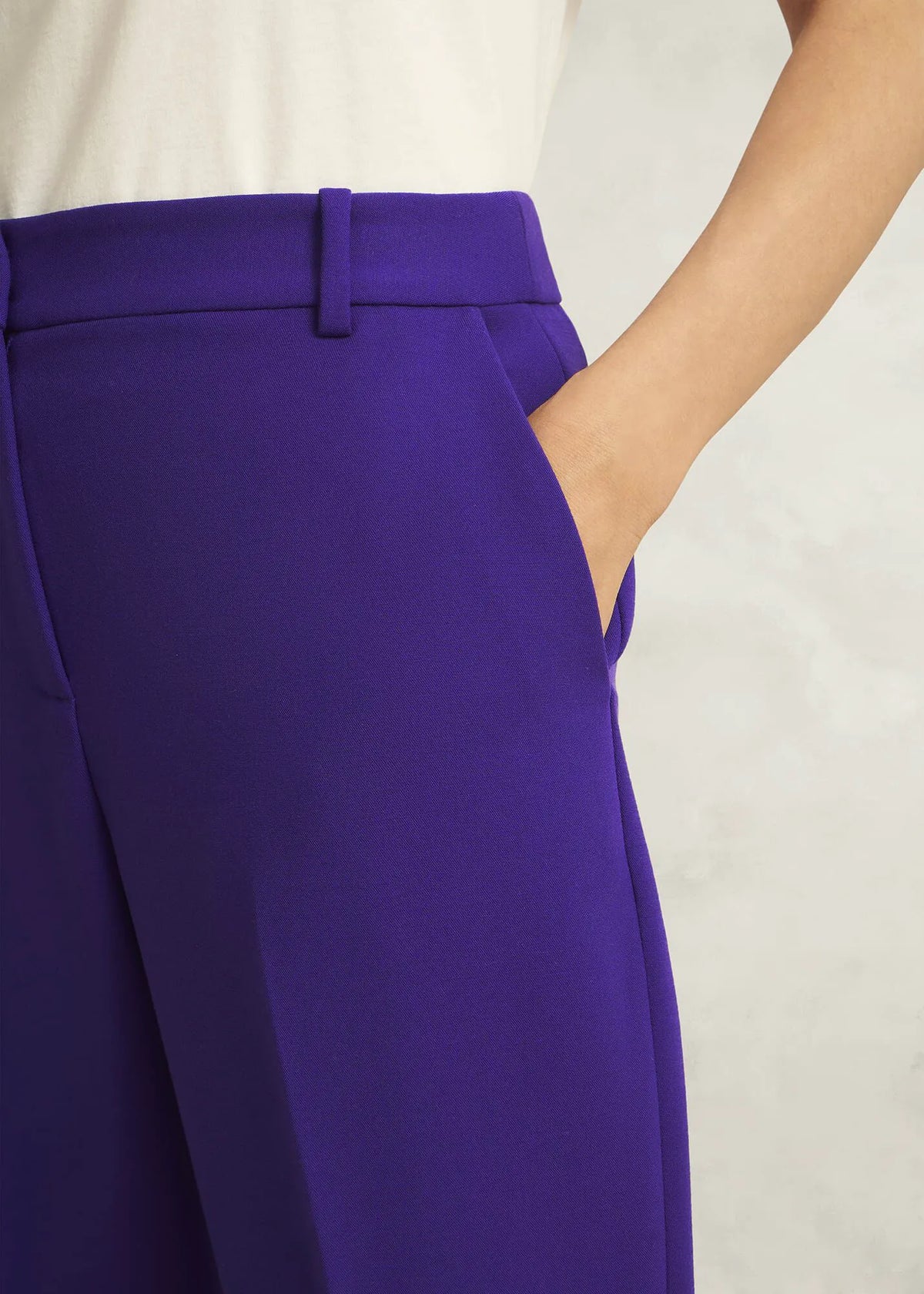Jewel Purple