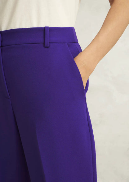 Jewel Purple