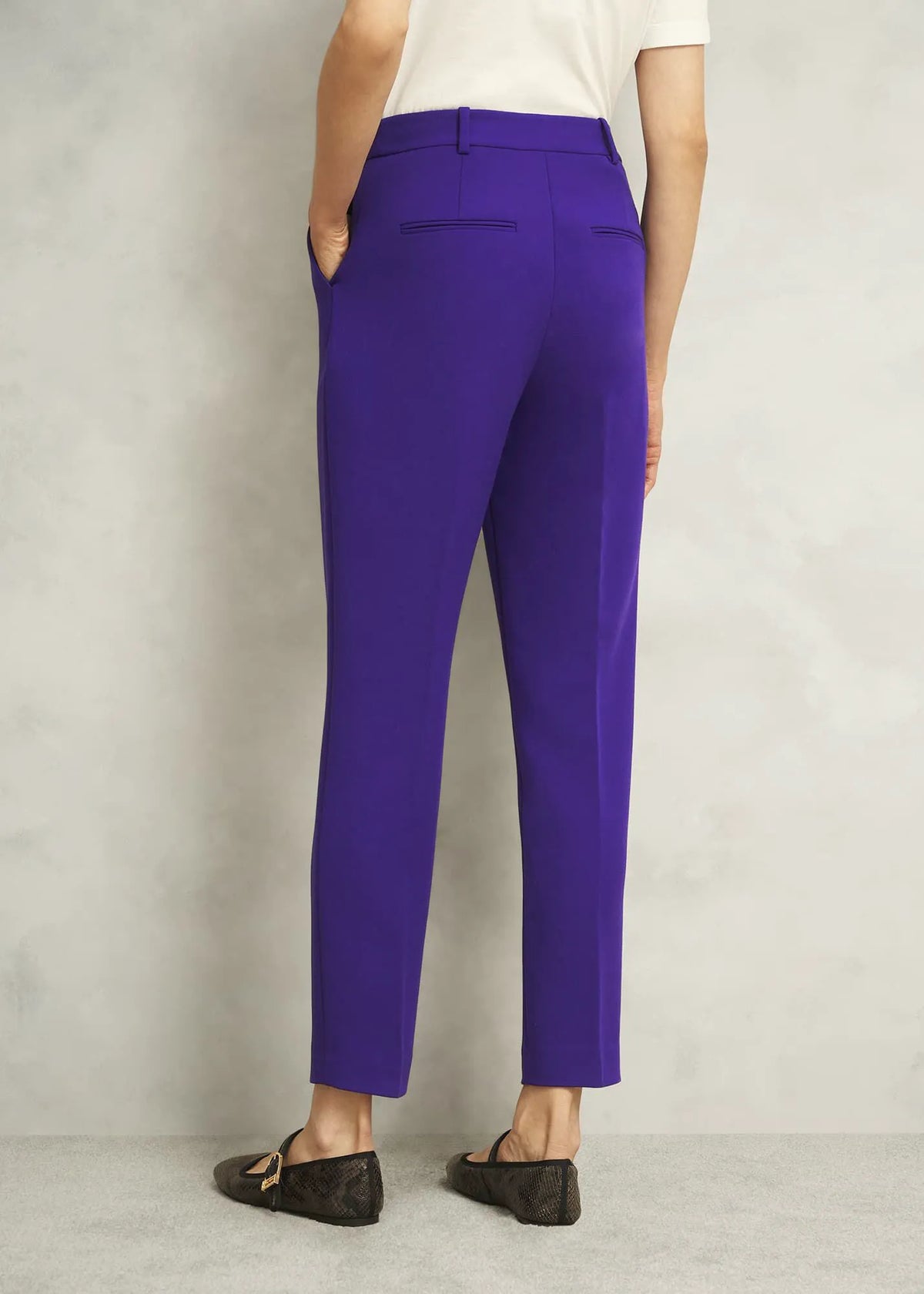 Jewel Purple
