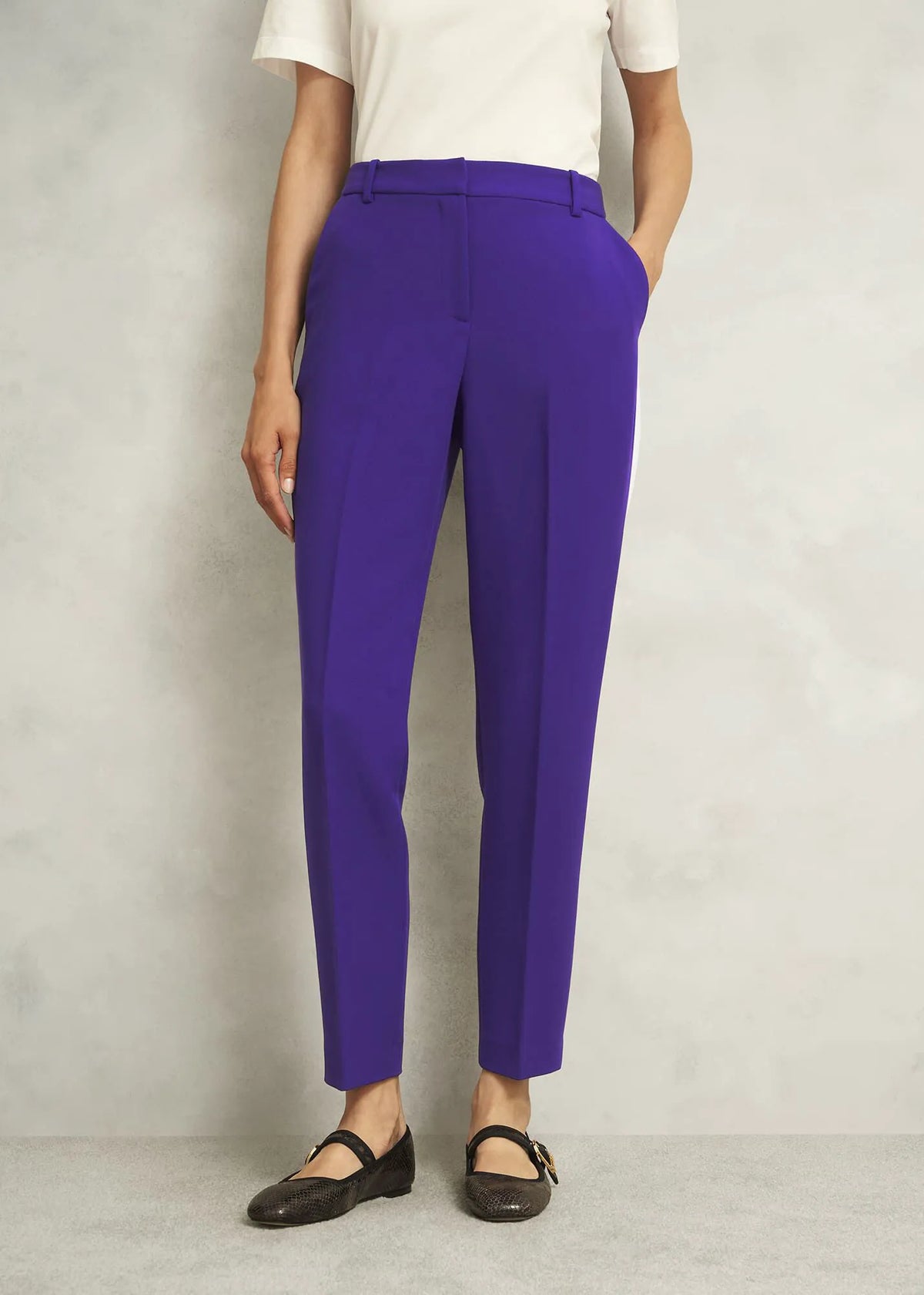 Jewel Purple