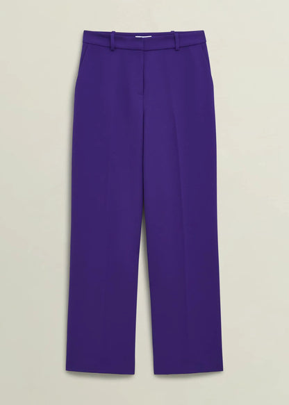 Jewel Purple