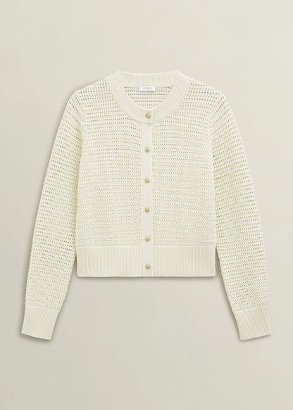 Warm Ivory