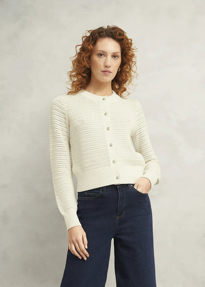 Warm Ivory
