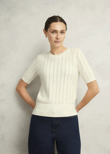 Warm Ivory