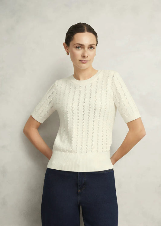 Warm Ivory