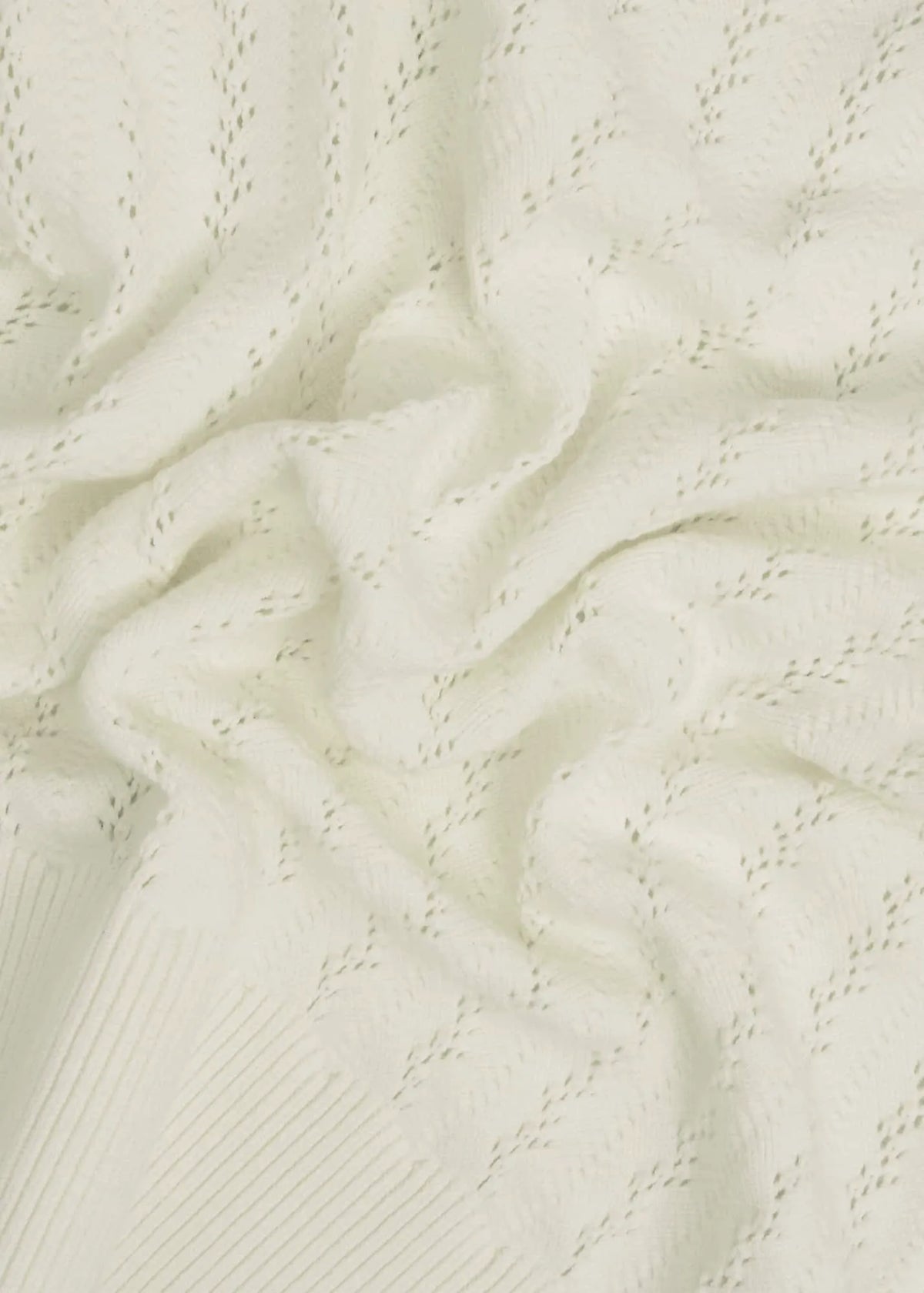 Warm Ivory