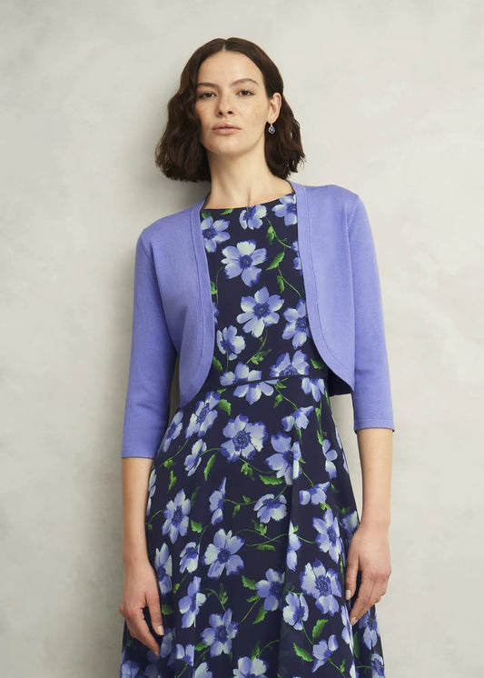 Cornflower Blue