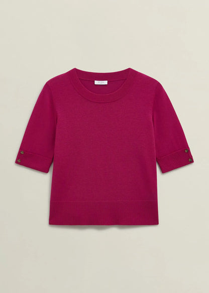 Zinnia Pink